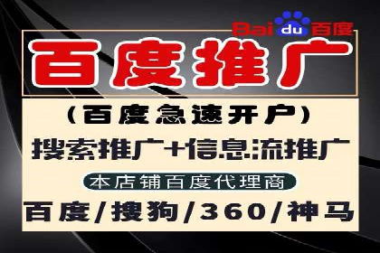 sem运营公司：数字营销的先锋